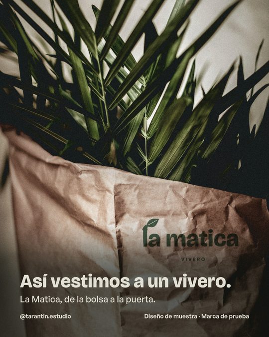 La bolsa con la palma