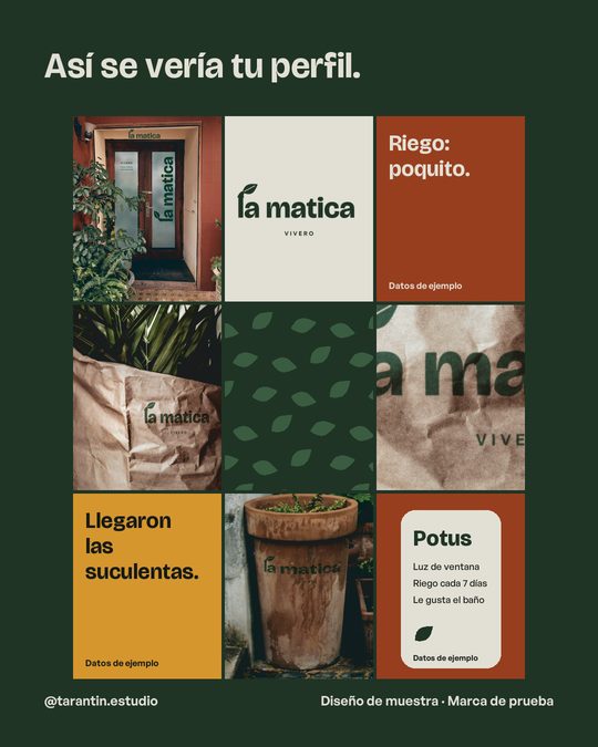 Lámina 5: cuadrícula de nueve publicaciones de muestra del perfil de La Matica
