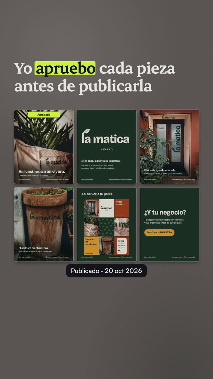 Cuadro del reel: las seis láminas publicadas el 20 de octubre de 2026